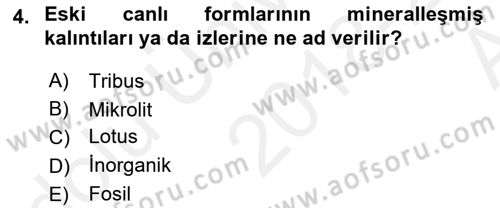 Uygarlık Tarihi 1 Dersi 2018 - 2019 Yılı (Vize) Ara Sınavı 4. Soru