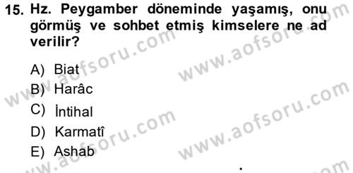 Uygarlık Tarihi 2 Dersi 2013 - 2014 Yılı (Vize) Ara Sınav Soruları 15. Soru