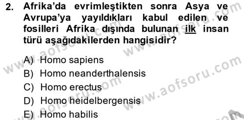 Genel Uygarlık Tarihi Dersi 2014 - 2015 Yılı (Final) Dönem Sonu Sınav Soruları 2. Soru