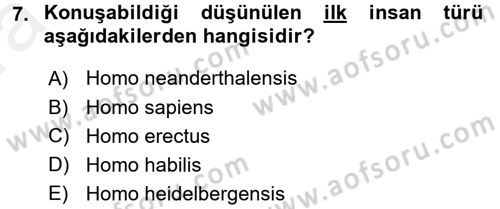 Genel Uygarlık Tarihi Dersi 2015 - 2016 Yılı (Vize) Ara Sınav Soruları 7. Soru