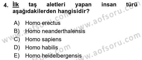 Genel Uygarlık Tarihi Dersi 2016 - 2017 Yılı 3 Ders Sınav Soruları 4. Soru