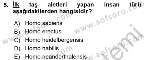 Genel Uygarlık Tarihi Dersi 2016 - 2017 Yılı (Vize) Ara Sınav Soruları 5. Soru