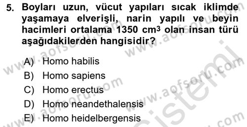 Genel Uygarlık Tarihi Dersi 2021 - 2022 Yılı Yaz Okulu Sınav Soruları 5. Soru