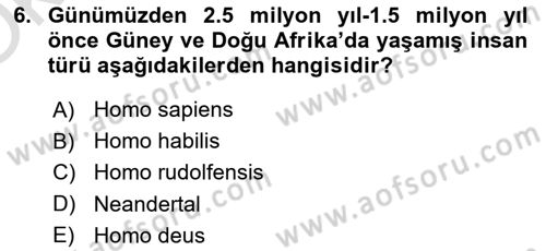 Genel Uygarlık Tarihi Dersi 2022 - 2023 Yılı Yaz Okulu Sınav Soruları 6. Soru