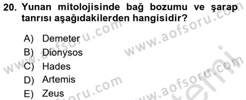 Genel Uygarlık Tarihi Dersi 2024 - 2025 Yılı (Vize) Ara Sınav Soruları 20. Soru