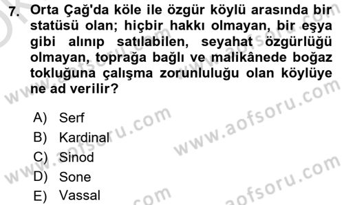 Genel Uygarlık Tarihi Dersi 2024 - 2025 Yılı Yaz Okulu Sınav Soruları 7. Soru