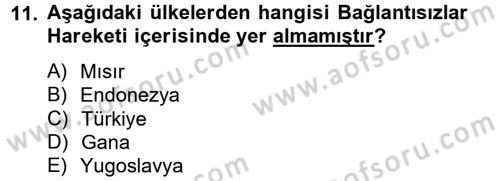 Siyasi Tarih Dersi 2012 - 2013 Yılı (Final) Dönem Sonu Sınav Soruları 11. Soru