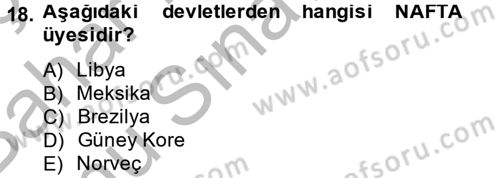 Siyasi Tarih Dersi 2013 - 2014 Yılı (Final) Dönem Sonu Sınav Soruları 18. Soru