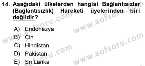 Siyasi Tarih Dersi 2018 - 2019 Yılı Yaz Okulu Sınav Soruları 14. Soru