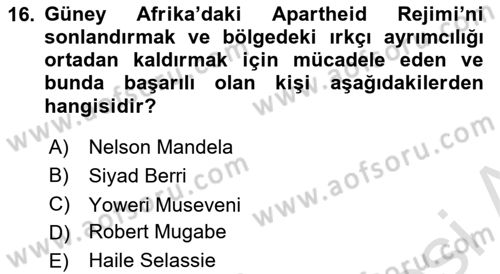 Siyasi Tarih Dersi 2022 - 2023 Yılı Yaz Okulu Sınav Soruları 16. Soru
