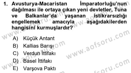 Siyasi Tarih Dersi 2023 - 2024 Yılı Yaz Okulu Sınav Soruları 1. Soru