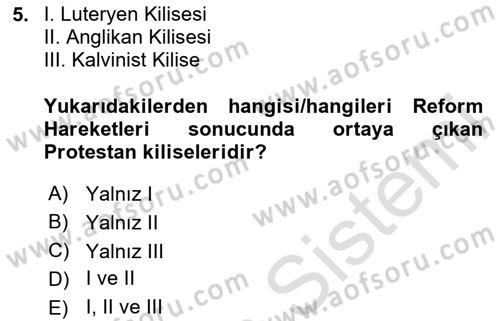 Siyasi Tarih 1 Dersi 2023 - 2024 Yılı Yaz Okulu Sınav Soruları 5. Soru