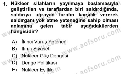 Siyasi Tarih 2 Dersi 2018 - 2019 Yılı 3 Ders Sınav Soruları 1. Soru