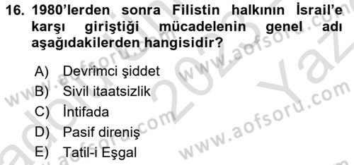 Siyasi Tarih 2 Dersi 2023 - 2024 Yılı Yaz Okulu Sınav Soruları 16. Soru