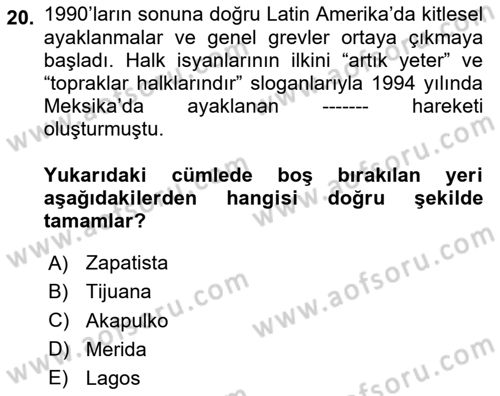 Siyasi Tarih 2 Dersi 2023 - 2024 Yılı Yaz Okulu Sınav Soruları 20. Soru