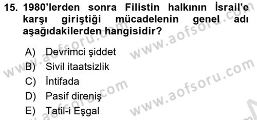 Siyasi Tarih 2 Dersi 2024 - 2025 Yılı Yaz Okulu Sınav Soruları 15. Soru