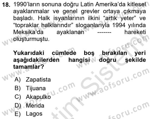Siyasi Tarih 2 Dersi 2024 - 2025 Yılı Yaz Okulu Sınav Soruları 18. Soru