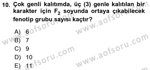 Genel Biyoloji Dersi Ara Sınavı Deneme Sınav Soruları 10. Soru