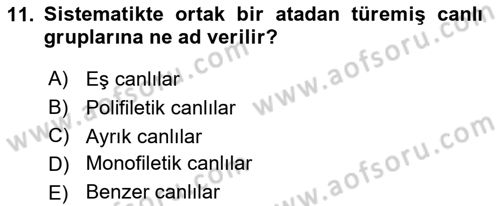 Genel Biyoloji Dersi Ara Sınavı Deneme Sınav Soruları 11. Soru