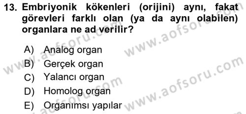 Genel Biyoloji Dersi Ara Sınavı Deneme Sınav Soruları 13. Soru