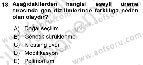 Genel Biyoloji Dersi Ara Sınavı Deneme Sınav Soruları 18. Soru