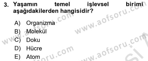 Genel Biyoloji Dersi Ara Sınavı Deneme Sınav Soruları 3. Soru