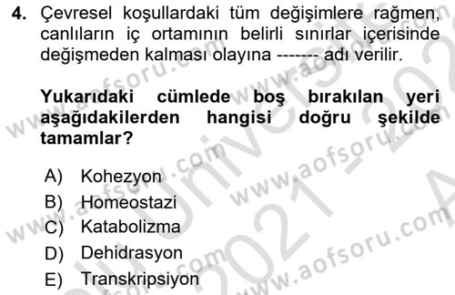 Genel Biyoloji Dersi Ara Sınavı Deneme Sınav Soruları 4. Soru