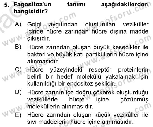 Genel Biyoloji Dersi Ara Sınavı Deneme Sınav Soruları 5. Soru