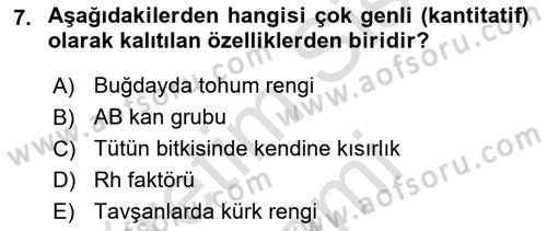 Genel Biyoloji Dersi Ara Sınavı Deneme Sınav Soruları 7. Soru
