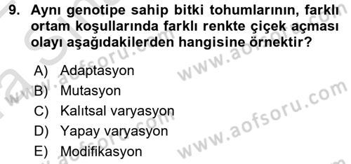 Genel Biyoloji Dersi Ara Sınavı Deneme Sınav Soruları 9. Soru