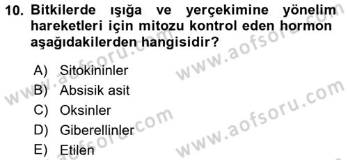 Genel Biyoloji Dersi 2021 - 2022 Yılı (Final) Dönem Sonu Sınav Soruları 10. Soru