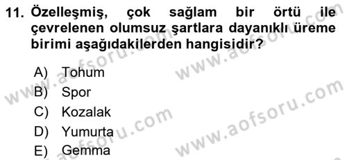 Genel Biyoloji Dersi 2021 - 2022 Yılı (Final) Dönem Sonu Sınav Soruları 11. Soru