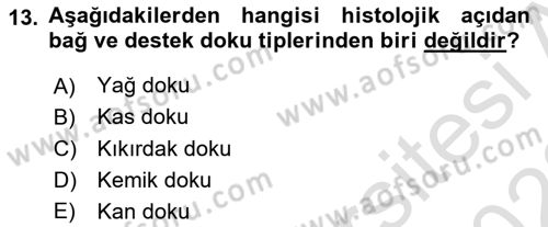 Genel Biyoloji Dersi 2021 - 2022 Yılı (Final) Dönem Sonu Sınavı 13. Soru