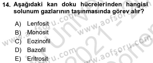 Genel Biyoloji Dersi 2021 - 2022 Yılı (Final) Dönem Sonu Sınav Soruları 14. Soru