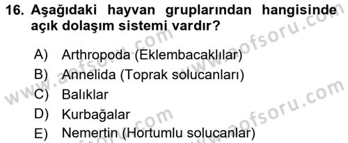 Genel Biyoloji Dersi 2021 - 2022 Yılı (Final) Dönem Sonu Sınav Soruları 16. Soru