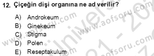 Genel Biyoloji Dersi 2021 - 2022 Yılı Yaz Okulu Sınavı 12. Soru