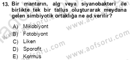 Genel Biyoloji Dersi 2021 - 2022 Yılı Yaz Okulu Sınavı 13. Soru