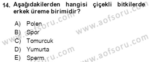 Genel Biyoloji Dersi 2021 - 2022 Yılı Yaz Okulu Sınavı 14. Soru