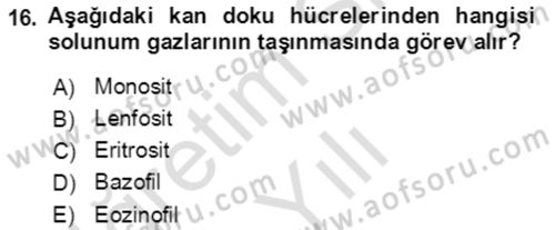 Genel Biyoloji Dersi 2021 - 2022 Yılı Yaz Okulu Sınavı 16. Soru