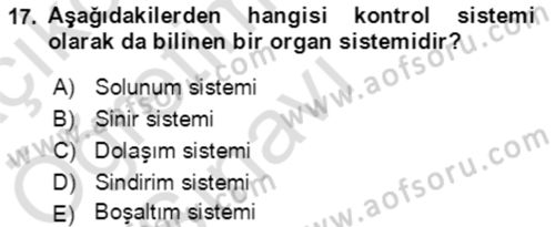 Genel Biyoloji Dersi 2021 - 2022 Yılı Yaz Okulu Sınavı 17. Soru