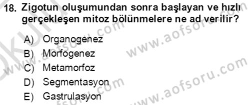 Genel Biyoloji Dersi 2021 - 2022 Yılı Yaz Okulu Sınavı 18. Soru