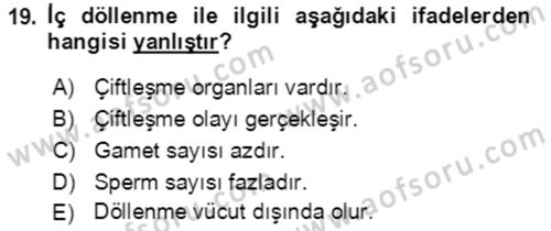 Genel Biyoloji Dersi 2021 - 2022 Yılı Yaz Okulu Sınavı 19. Soru