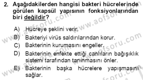 Genel Biyoloji Dersi 2021 - 2022 Yılı Yaz Okulu Sınavı 2. Soru