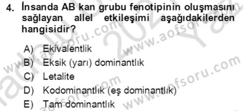 Genel Biyoloji Dersi 2021 - 2022 Yılı Yaz Okulu Sınavı 4. Soru