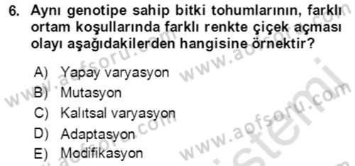 Genel Biyoloji Dersi 2021 - 2022 Yılı Yaz Okulu Sınavı 6. Soru