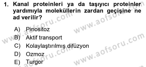 Genel Biyoloji Dersi Ara Sınavı Deneme Sınav Soruları 1. Soru