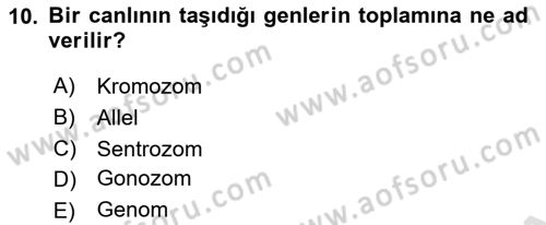 Genel Biyoloji Dersi Ara Sınavı Deneme Sınav Soruları 10. Soru