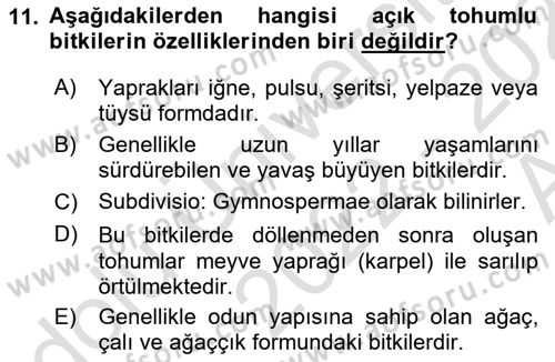 Genel Biyoloji Dersi Ara Sınavı Deneme Sınav Soruları 11. Soru