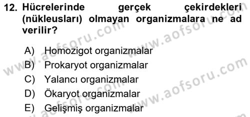 Genel Biyoloji Dersi 2022 - 2023 Yılı (Vize) Ara Sınav Soruları 12. Soru