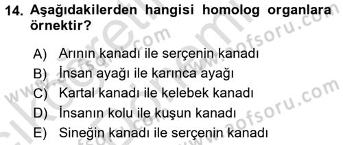 Genel Biyoloji Dersi 2022 - 2023 Yılı (Vize) Ara Sınavı 14. Soru